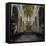 St. Vitus Cathedral, Prague, Czech Republic, Europe-Ben Pipe-Framed Premier Image Canvas