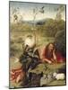 St-Hieronymus Bosch-Mounted Art Print