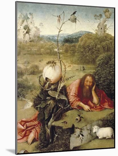 St-Hieronymus Bosch-Mounted Art Print