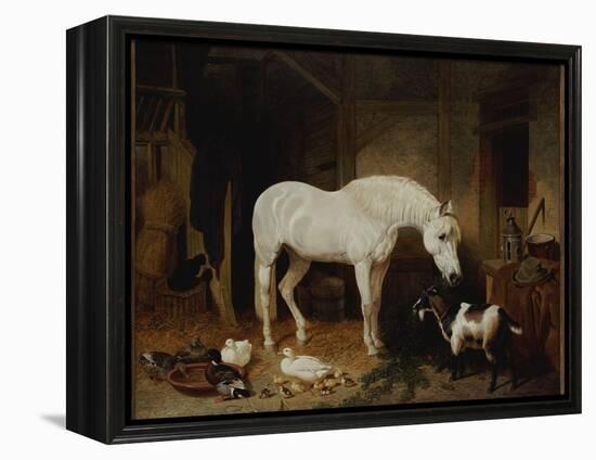 Stable Companions-John Frederick Herring I-Framed Premier Image Canvas