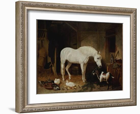 Stable Companions-John Frederick Herring I-Framed Giclee Print