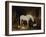 Stable Companions-John Frederick Herring I-Framed Giclee Print