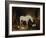 Stable Companions-John Frederick Herring I-Framed Giclee Print