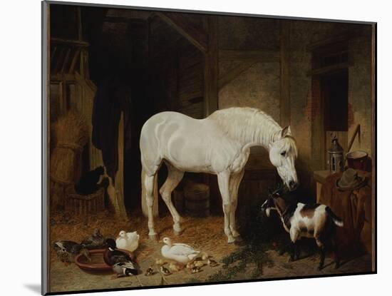 Stable Companions-John Frederick Herring I-Mounted Giclee Print