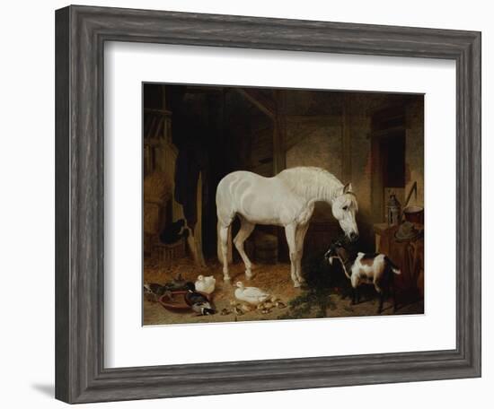 Stable Companions-John Frederick Herring I-Framed Giclee Print