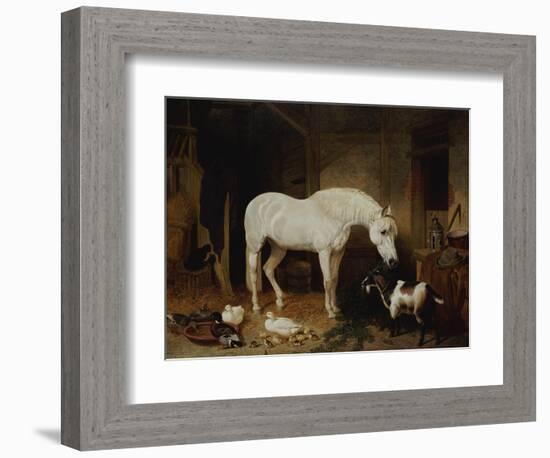 Stable Companions-John Frederick Herring I-Framed Giclee Print