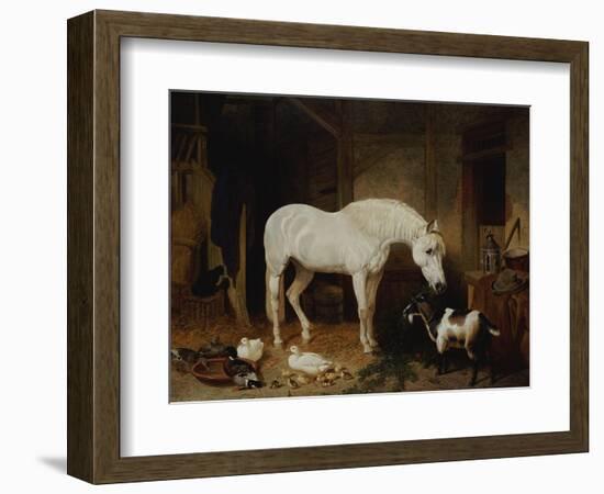 Stable Companions-John Frederick Herring I-Framed Giclee Print