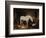 Stable Companions-John Frederick Herring I-Framed Giclee Print