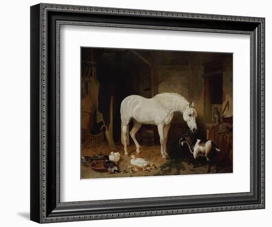 Stable Companions-John Frederick Herring I-Framed Giclee Print