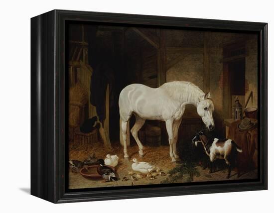 Stable Companions-John Frederick Herring I-Framed Premier Image Canvas