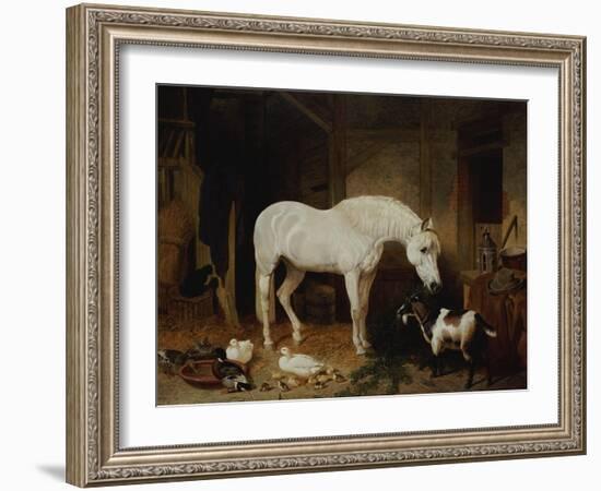 Stable Companions-John Frederick Herring I-Framed Giclee Print