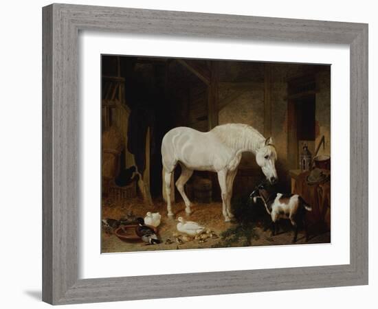 Stable Companions-John Frederick Herring I-Framed Giclee Print