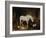 Stable Companions-John Frederick Herring I-Framed Giclee Print