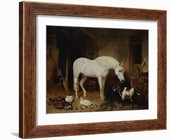 Stable Companions-John Frederick Herring I-Framed Giclee Print