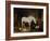 Stable Companions-John Frederick Herring I-Framed Giclee Print