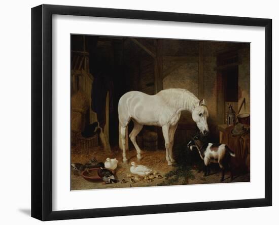 Stable Companions-John Frederick Herring I-Framed Giclee Print