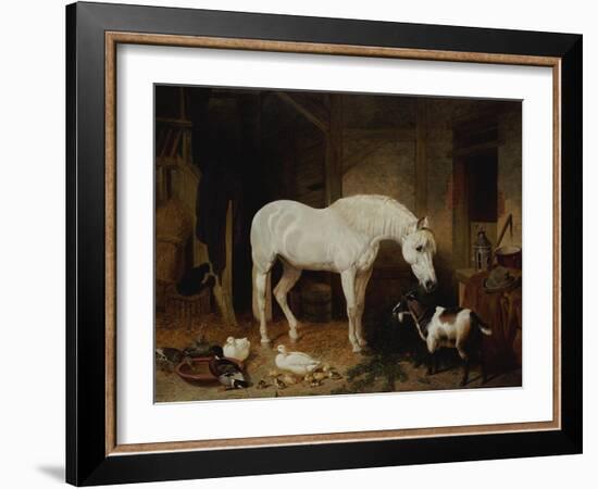 Stable Companions-John Frederick Herring I-Framed Giclee Print