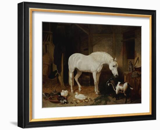 Stable Companions-John Frederick Herring I-Framed Giclee Print