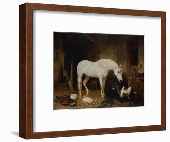 Stable Companions-John Frederick Herring I-Framed Premium Giclee Print