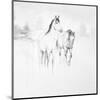 Stable I-Cecil K^-Mounted Art Print