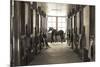 Stable Stalls-Ben Wood-Mounted Giclee Print