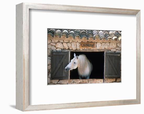 Stable Tramuntana Majorca Spain-null-Framed Art Print