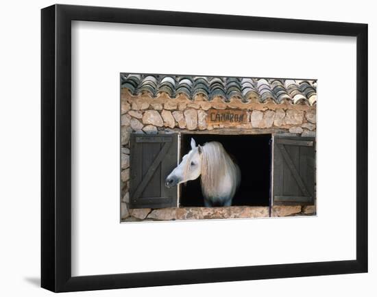 Stable Tramuntana Majorca Spain-null-Framed Art Print