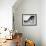 Stables at a Residence in Sprotbrough, Near Doncaster, South Yorkshire, 1966-Michael Walters-Framed Photographic Print displayed on a wall