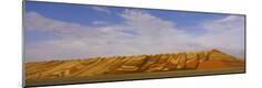 Photographic Print
