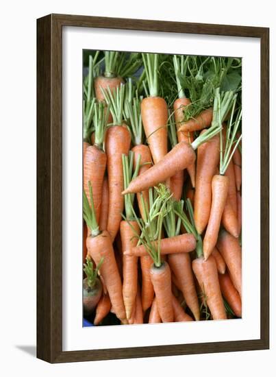 Stack of Orange Carrots-Bjorn Svensson-Framed Photographic Print