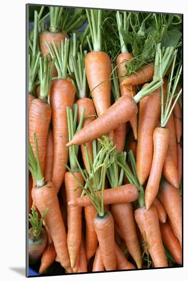 Stack of Orange Carrots-Bjorn Svensson-Mounted Photographic Print