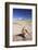 Stack of Prayer Stones on Altiplano, Potosi Department, Bolivia, South America-Ian Trower-Framed Photographic Print