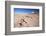 Stack of Prayer Stones on Altiplano, Potosi Department, Bolivia, South America-Ian Trower-Framed Photographic Print