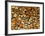 Stacked Firewood, Lithuania-Keren Su-Framed Photographic Print