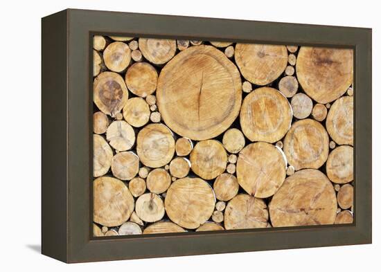 Stacked Logs Background-wasja-Framed Premier Image Canvas