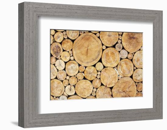 Stacked Logs Background-wasja-Framed Photographic Print