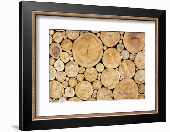 Stacked Logs Background-wasja-Framed Photographic Print