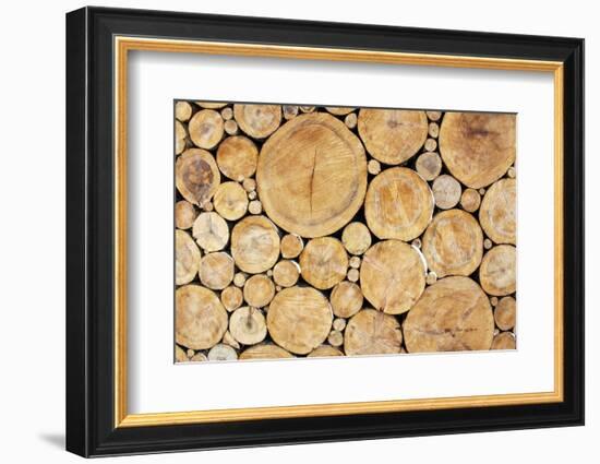Stacked Logs Background-wasja-Framed Photographic Print