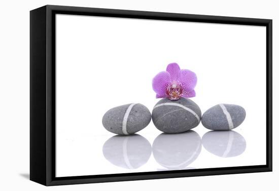 Stacked of Striped Stones and Pink Orchid-Apollofoto-Framed Premier Image Canvas