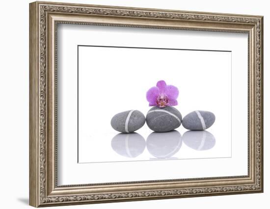 Stacked of Striped Stones and Pink Orchid-Apollofoto-Framed Photographic Print