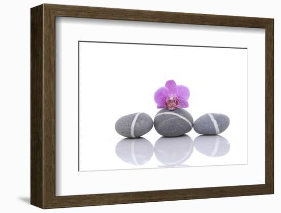 Stacked of Striped Stones and Pink Orchid-Apollofoto-Framed Photographic Print