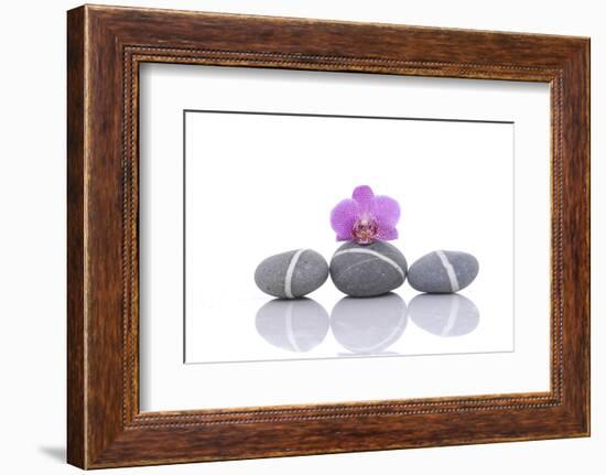 Stacked of Striped Stones and Pink Orchid-Apollofoto-Framed Photographic Print