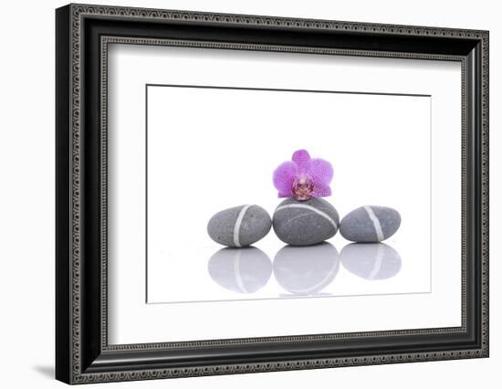 Stacked of Striped Stones and Pink Orchid-Apollofoto-Framed Photographic Print