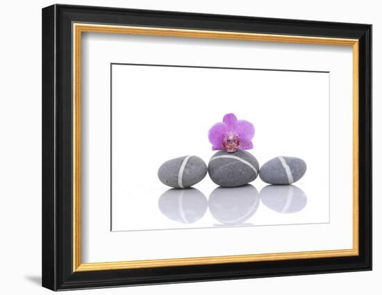 Stacked of Striped Stones and Pink Orchid-Apollofoto-Framed Photographic Print