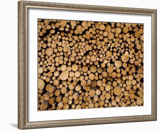 Stacked Piles of Cut Logs at Zellar Forest Products, Gulliver, Michigan, Usa-Paul Souders-Framed Photographic Print