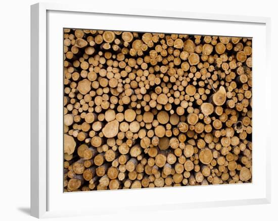 Stacked Piles of Cut Logs at Zellar Forest Products, Gulliver, Michigan, Usa-Paul Souders-Framed Photographic Print