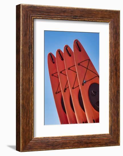 Stacked red kayaks on a beach, Florida, USA-Jim Engelbrecht-Framed Photographic Print