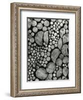 Stacked Wood, c.1970-Brett Weston-Framed Photographic Print