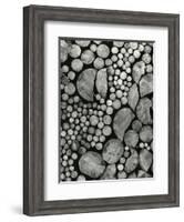 Stacked Wood, c.1970-Brett Weston-Framed Photographic Print