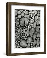 Stacked Wood, c.1970-Brett Weston-Framed Photographic Print